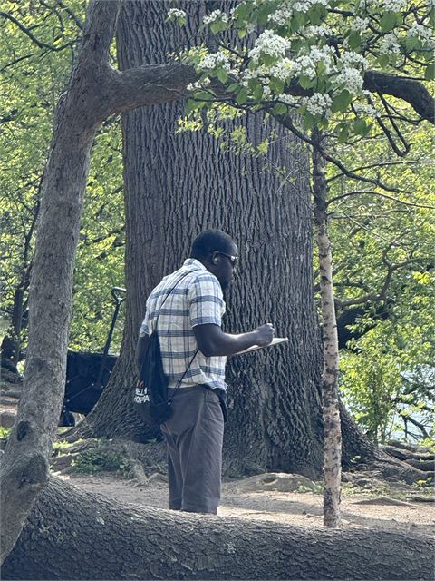 Amoako Buachie painting outdoors beneath a blossoming tree, seated on a folding stool with a canvas on his lap.